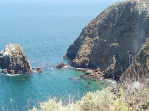 2013 Santa Cruz Island