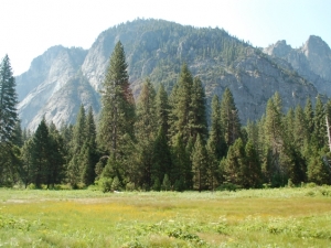 2013 Yosemite Trip