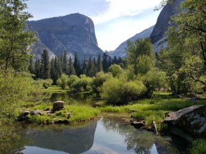 2015 Yosemite