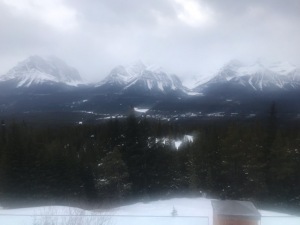 IMG_7682-1