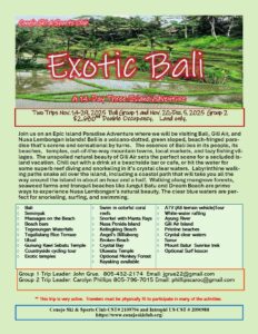 Bali in November 2025