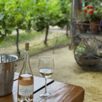 Wine tasting at the Stonehaus